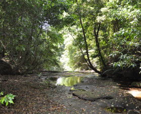 State Forests Of The Watagan Mountains - Winery Find 1
