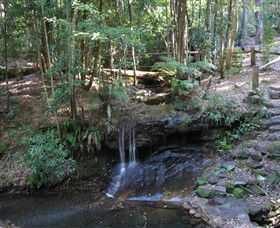 State Forests Of The Watagan Mountains - Winery Find 3