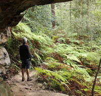 Dharug National Park - Winery Find