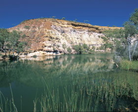 Ellendale Pool - Winery Find 0