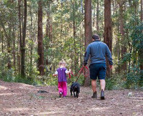 Kulnura NSW Winery Find