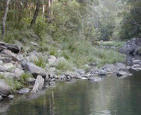 Bellthorpe National Park - Winery Find 1