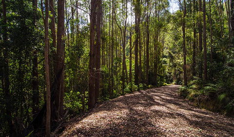 Myrtle Scrub Scenic Drive - Winery Find 1