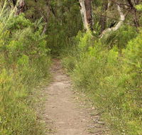 Three Views walking track - Winery Find