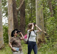 Chichester State Forest - Winery Find