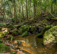 Palm Grove Nature Reserve - Winery Find