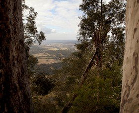 Heaton State Forest - Watagan Mountains - Winery Find 1
