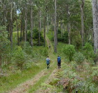The Green Gully track - Winery Find