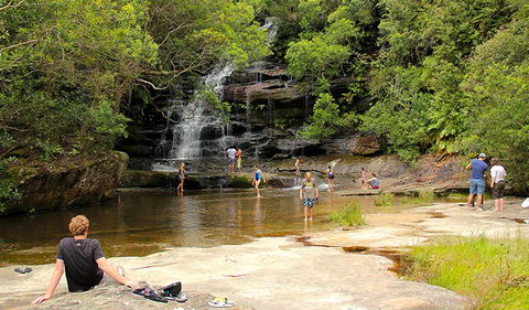 Somersby Falls Picnic Area - Winery Find 0