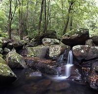 Kangaroo River - Winery Find