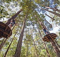 TreeTop Adventure Park Central Coast - Winery Find
