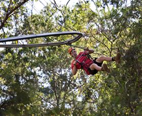 TreeTops Crazy Rider - Winery Find 1