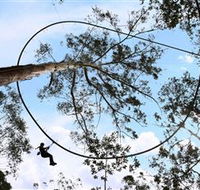 TreeTops Crazy Rider - Winery Find