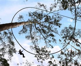 TreeTops Crazy Rider - Winery Find 0