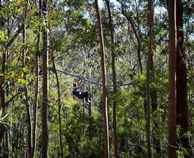 TreeTops Crazy Rider - Winery Find 3