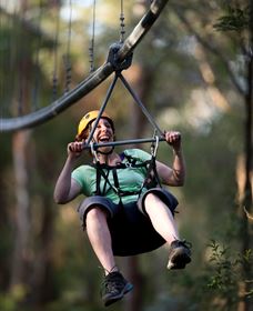 TreeTops Crazy Rider - Winery Find 2