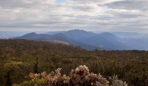 Budawang National Park - Winery Find 1