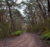 Budawang National Park - Winery Find