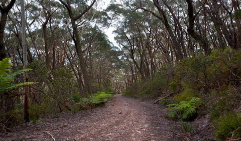 Budawang National Park - Winery Find 0