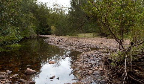 Budawang National Park - Winery Find 2