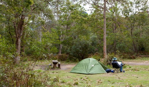 Budawang National Park - Winery Find 3