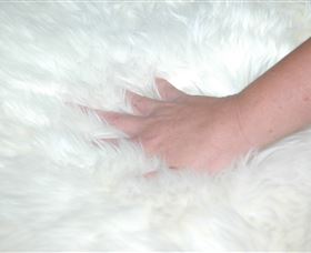 Mortels Sheepskin Factory - Winery Find 4