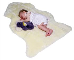 Mortels Sheepskin Factory - Winery Find 5