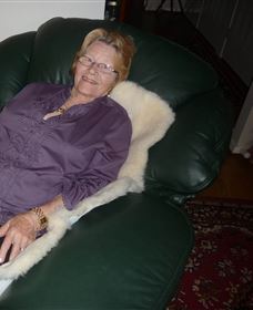 Mortels Sheepskin Factory - Winery Find 6