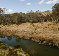 Werrikimbe National Park - Winery Find