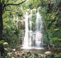 Budderoo National Park - The Falls Walk - Winery Find