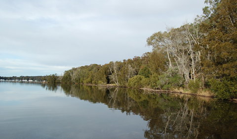 Lake Macquarie State Conservation Area - Winery Find 0