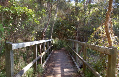 Lake Macquarie State Conservation Area - Winery Find 2