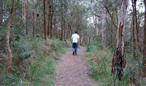 Lake Macquarie State Conservation Area - Winery Find 3