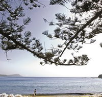 Terrigal Beach - Winery Find