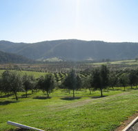 Hastings Valley Olives - Winery Find