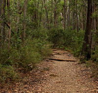 Pigeon House Mountain Didthul walking track - Winery Find