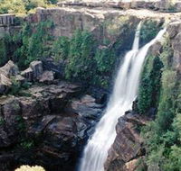 Minnamurra Rainforest Centre Budderoo National Park - Winery Find