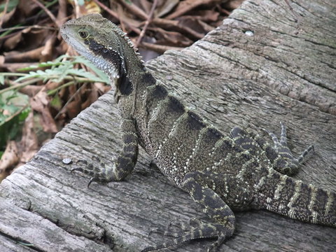 Campbells Store Craft Centre - Winery Find 1