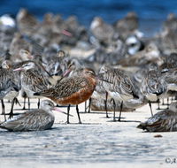 Cooloola Nature - Winery Find