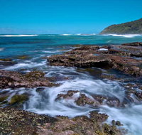 Wyrrabalong National Park - Winery Find