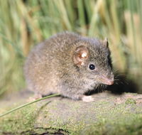 Munmorah State Conservation Area - Winery Find
