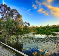 Berrinba Wetlands - Winery Find
