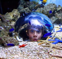 Sea Life Sunshine Coast - Winery Find