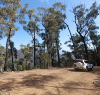 Wadbilliga Road drive - Winery Find