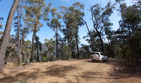 Wadbilliga Road Drive - Winery Find 0