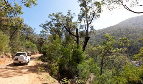 Wadbilliga Road Drive - Winery Find 1