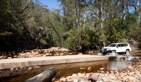 Wadbilliga Road Drive - Winery Find 2