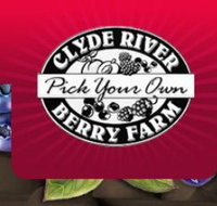 Clyde River Berry Farm - Winery Find