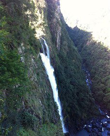 Ellenborough Falls - Winery Find 0
