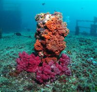 HMAS Brisbane Dive Site - Winery Find